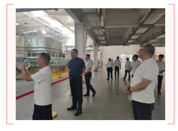 刚玉智能 | 恭贺东莞市珠江啤酒扩建工程项目顺利投产